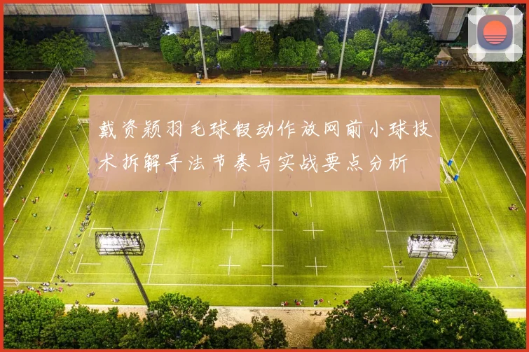 戴资颖羽毛球假动作放网前小球技术拆解手法节奏与实战要点分析