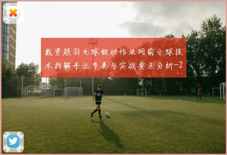 戴资颖羽毛球假动作放网前小球技术拆解手法节奏与实战要点分析